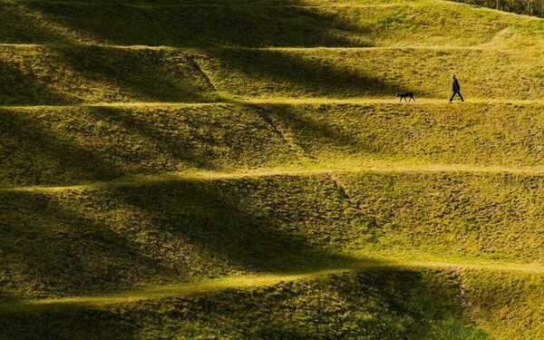 Environmental Art: From Gravel Pits to Medicinal Gardens 