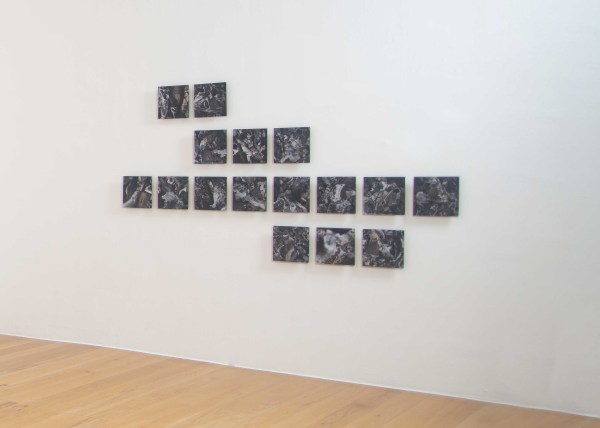 We Are Watching You by Miguel Rodriguez Sepulveda