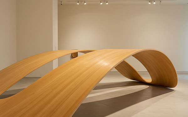 Deaccession Policy Guidelines: Protecting Your Collection and Your Institution