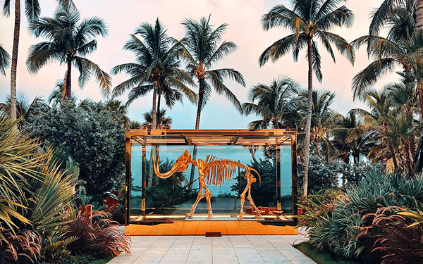 Rules of Engagement: Advisor Todd Levin on Miami's Art Fairs